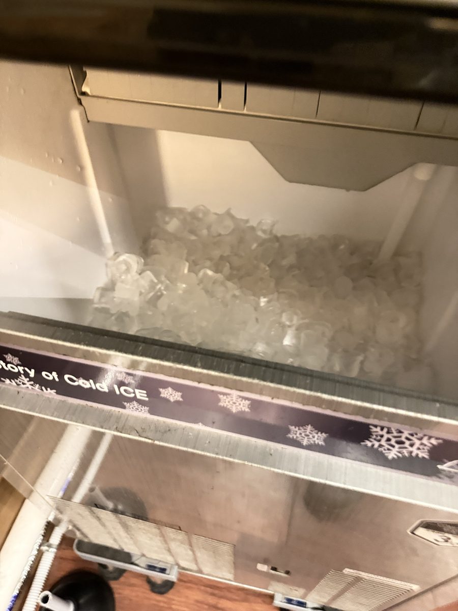 작업 전 얼음 저장고. 겉으로는 깨끗해 보여요.